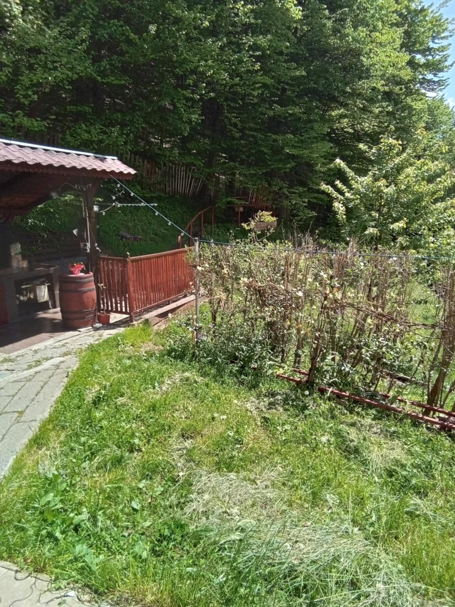 Casa Ozon Hotel Vulkán Kültér fotó
