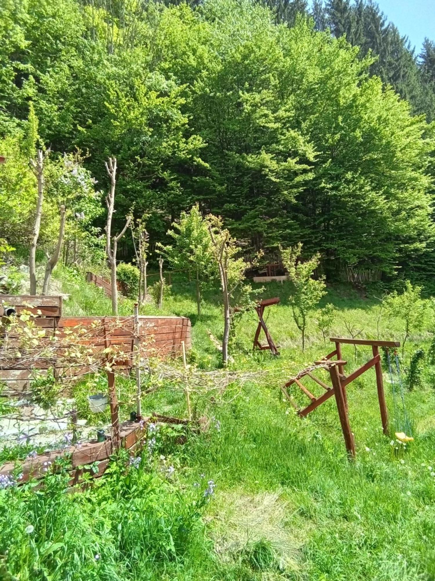 Casa Ozon Hotel Vulkán Kültér fotó