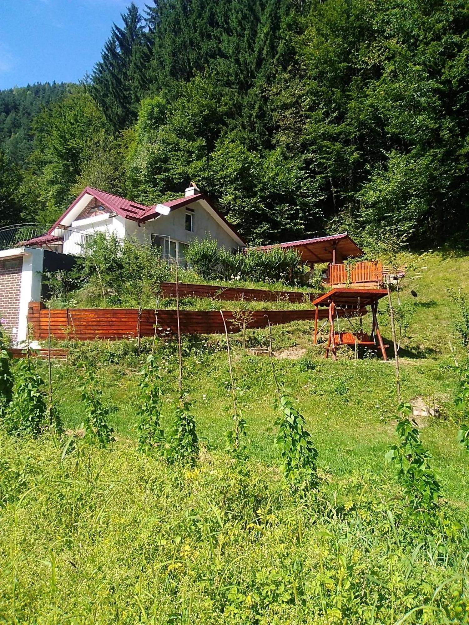 Casa Ozon Hotel Vulkán Kültér fotó
