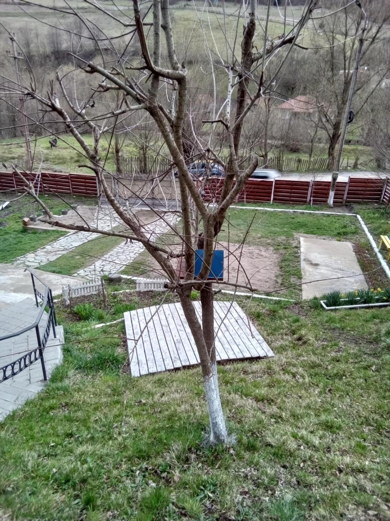 Casa Ozon Hotel Vulkán Kültér fotó