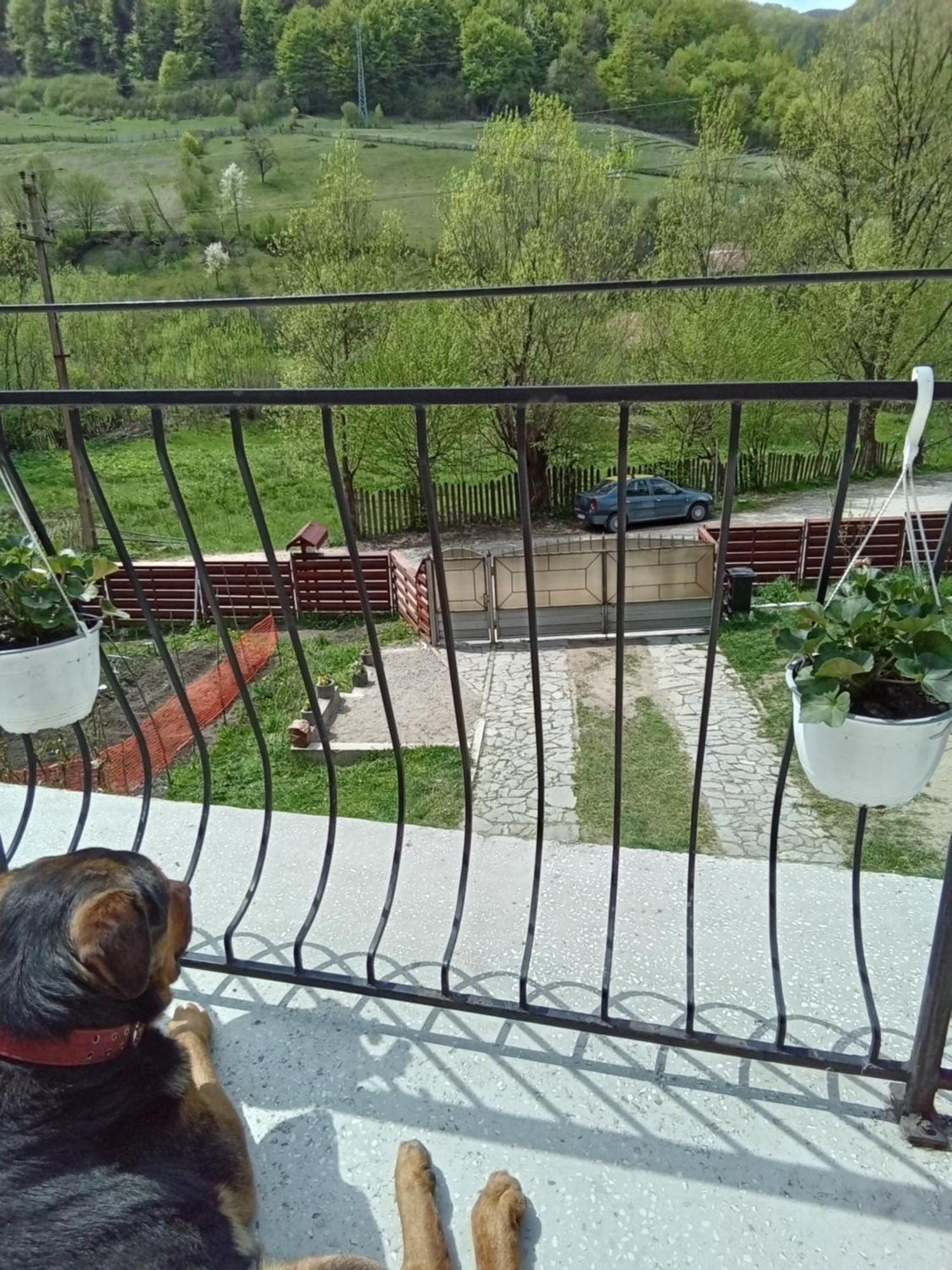 Casa Ozon Hotel Vulkán Kültér fotó