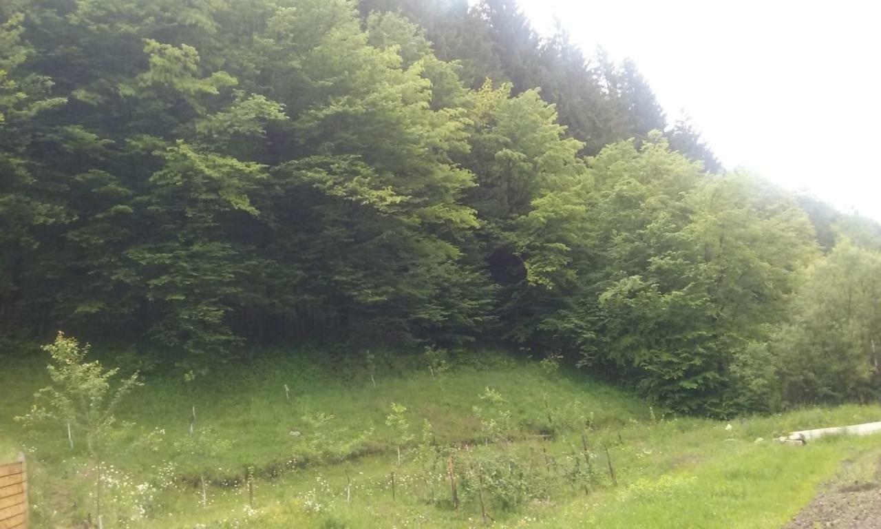 Casa Ozon Hotel Vulkán Kültér fotó